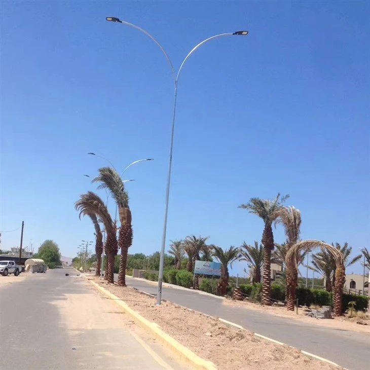 12m Double Arm Street Lamp Pole suppliers